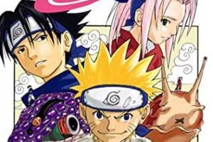 Private Server Konoha Ninja