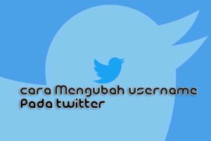 Twitter Twitter