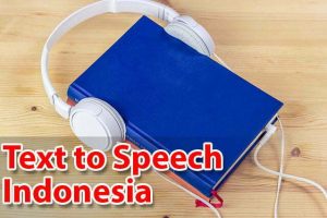 text to speech mancatat.com